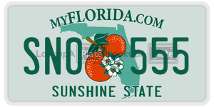 SN0555 license plate in Florida