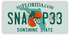 SNAP33  license plate in FL