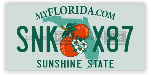 SNKX87  license plate in FL