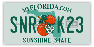 SNRK23  license plate in FL