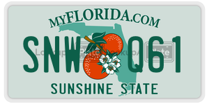 SNWQ61  license plate in FL