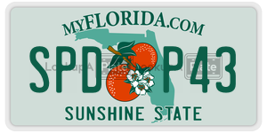 SPDP43  license plate in FL