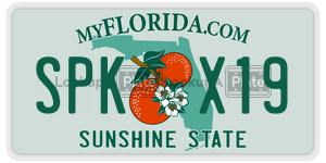 SPKX19 license plate in Florida