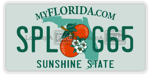 SPLG65  license plate in FL