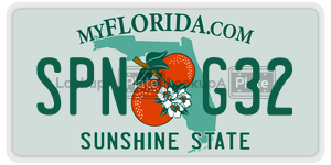 SPNG32  license plate in FL