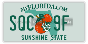 SQC9F  license plate in FL