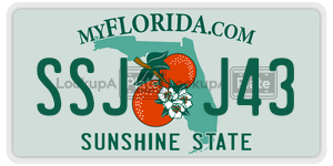 SSJJ43  license plate in FL