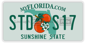 STDS17  license plate in FL