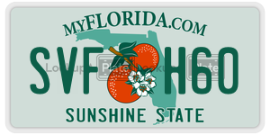 SVFH60  license plate in FL