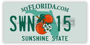 SWN15  license plate in FL