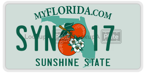 SYN17  license plate in FL