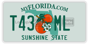 T43ML license plate in Florida