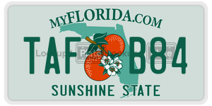 TAFB84  license plate in FL