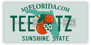 TEETZ license plate in Florida