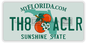 TH8ACLR  license plate in FL