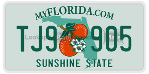 TJ9905  license plate in FL