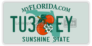 TU3EY  license plate in FL
