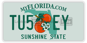 TU5EY  license plate in FL