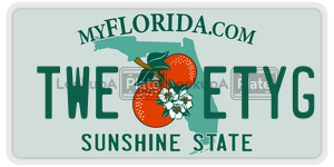 TWEETYG license plate in Florida