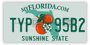 TYP95B2 license plate in Florida
