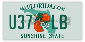 U37LB license plate in Florida