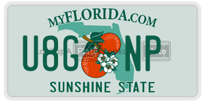 U8GNP  license plate in FL
