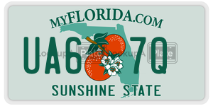 UA67Q  license plate in FL