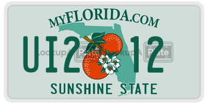 UI212  license plate in FL