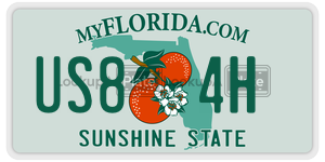 US84H license plate in Florida