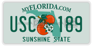 USC189  license plate in FL