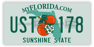 UST178  license plate in FL