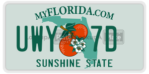 UWY7D license plate in Florida