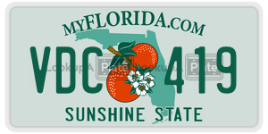 VDC419 license plate in Florida