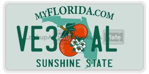 VE3AL  license plate in FL