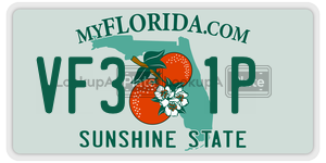 VF31P  license plate in FL