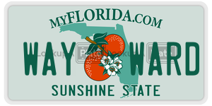 WAYWARD license plate in Florida