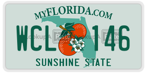 WCL146  license plate in FL