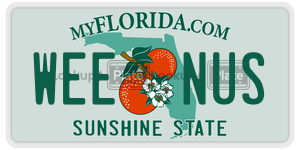 WEENUS  license plate in FL