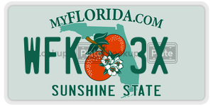 WFK3X license plate in Florida