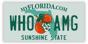 WH0AMG  license plate in FL