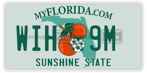 WIH9M  license plate in FL