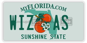 WIZAS  license plate in FL