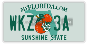 WKZ3A  license plate in FL