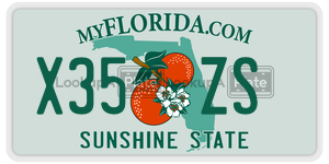 X35ZS  license plate in FL