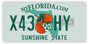 X43HY  license plate in FL