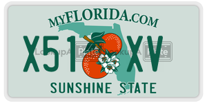 X51XV  license plate in FL