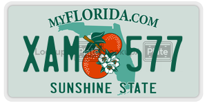 XAM577  license plate in FL