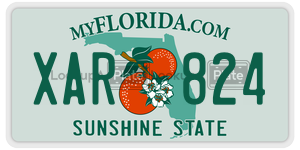 XAR824  license plate in FL