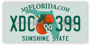 XDC399  license plate in FL
