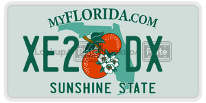 XE2DX  license plate in FL